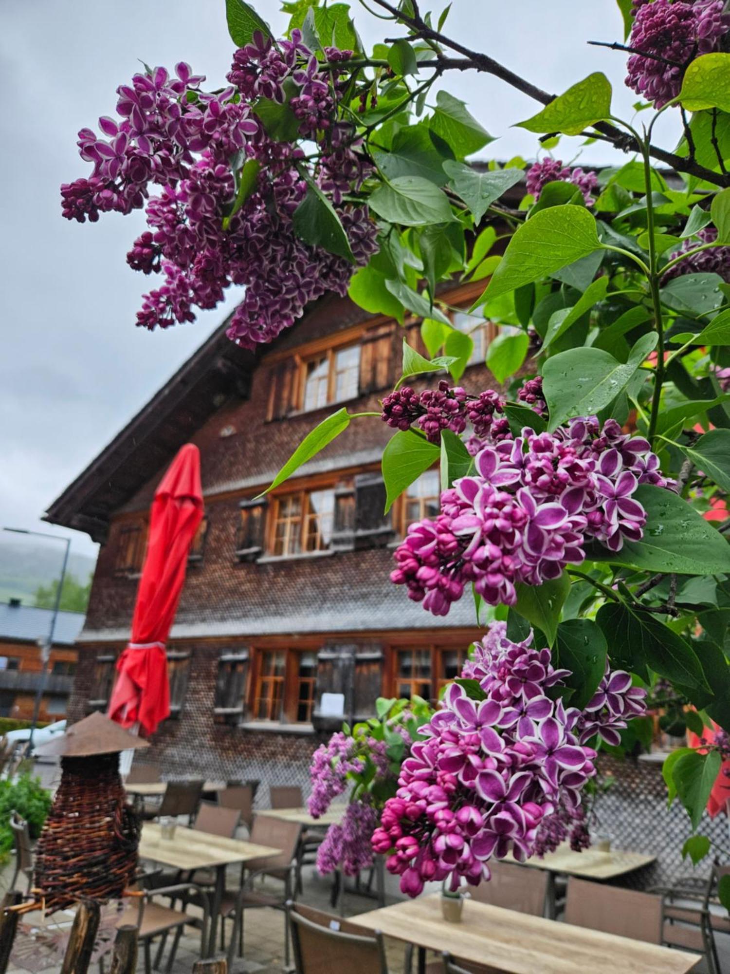 Naze'S Hus Mellau Hotel Exterior foto